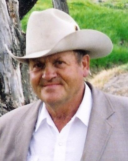 Lyle J Steed's obituary image