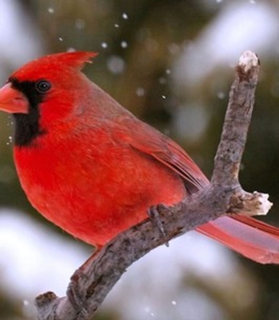 Herbert Sager Profile Photo