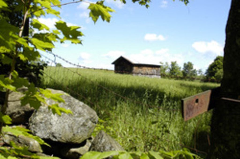 Veronica "Vonnie" Fournier