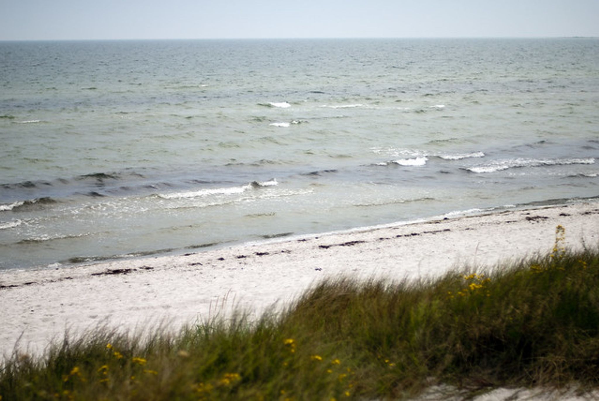 Cover photo for Margery Waggoner's Obituary