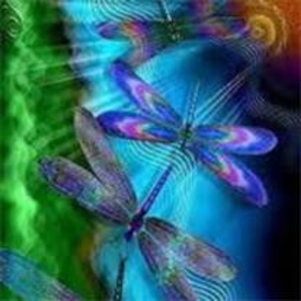 Carmela Petrone Profile Photo