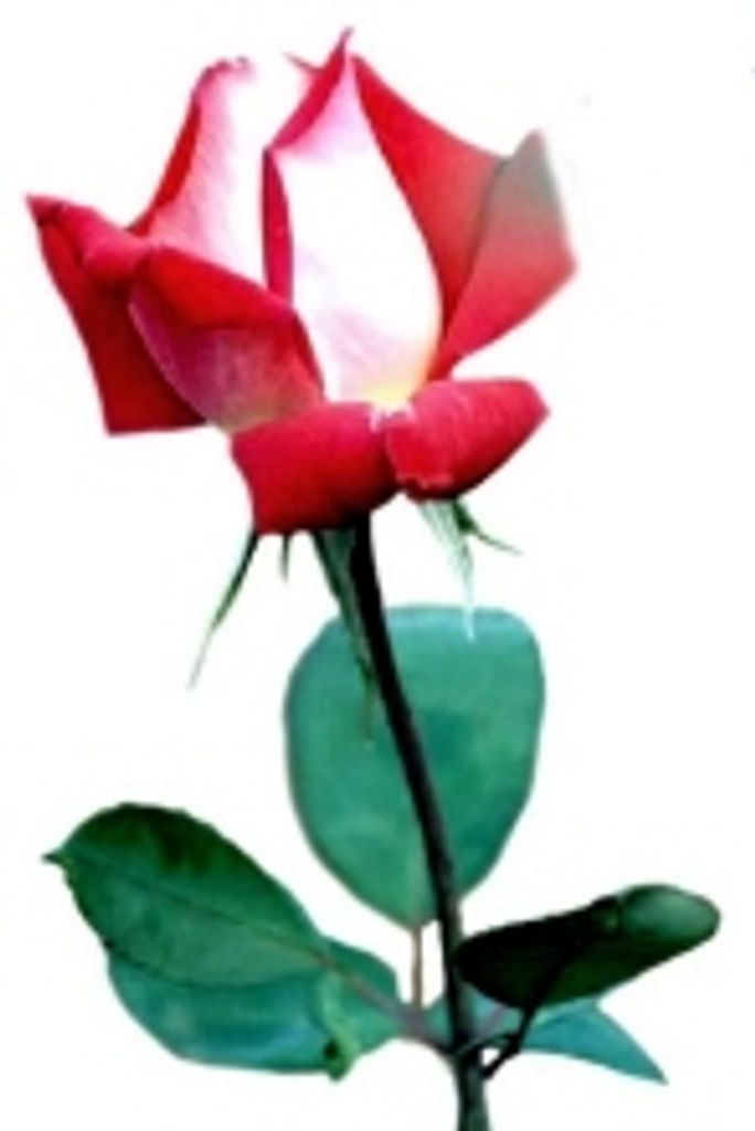 Hazel  Marie Gauldin