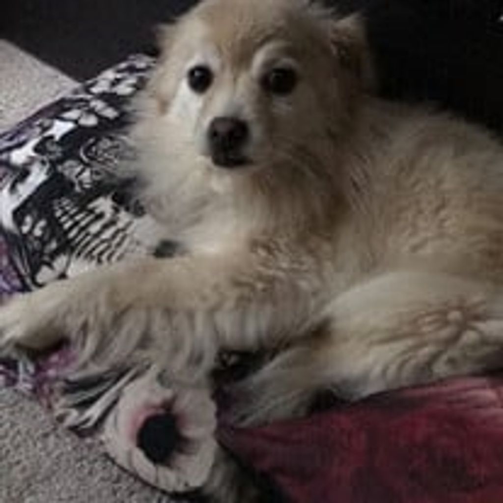 Kadey