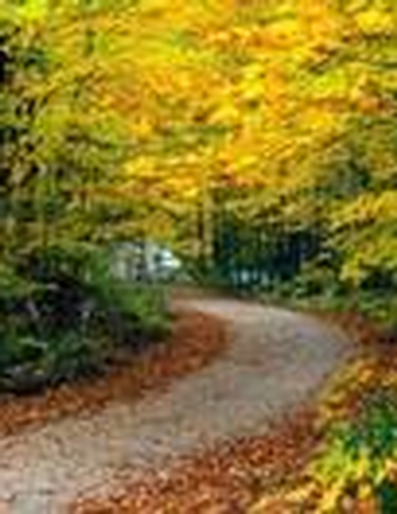 Grace Hendrix Duncan