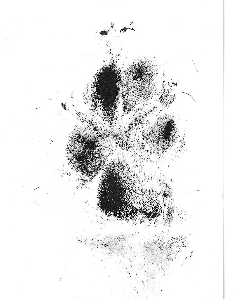 Tucker Hough Profile Photo