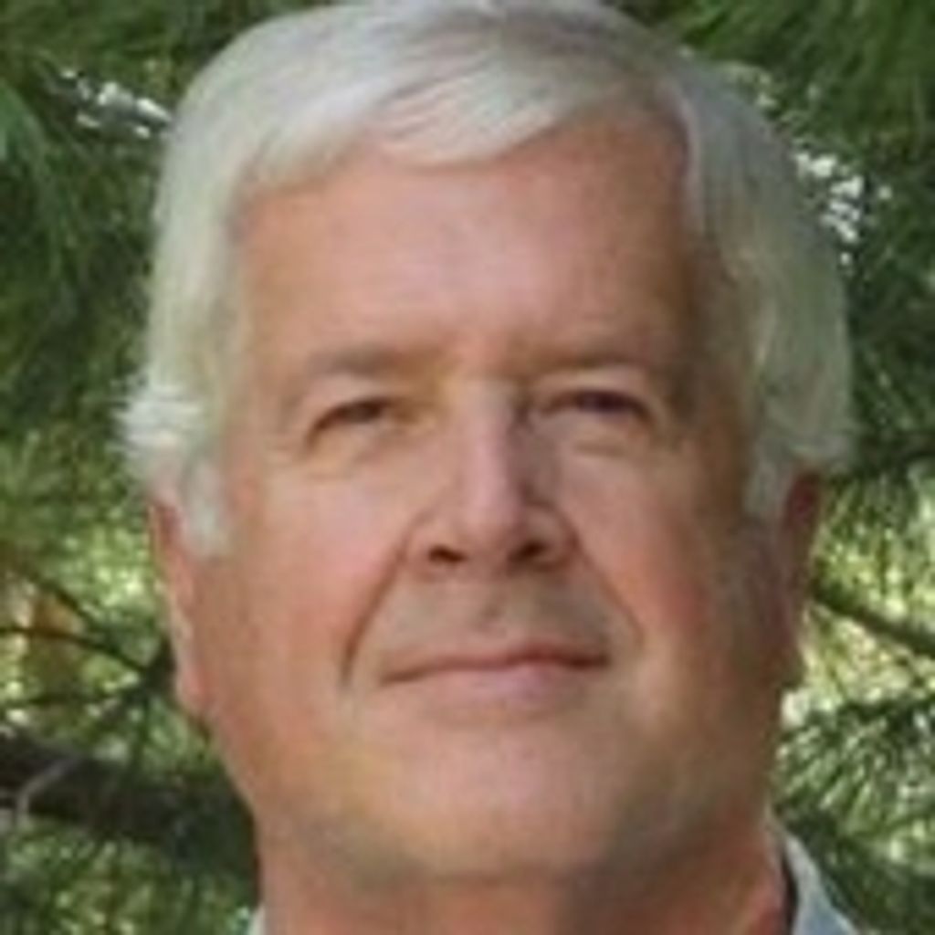 David J. Allison