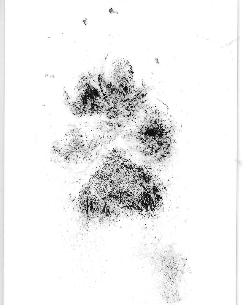 Copper Ross Profile Photo