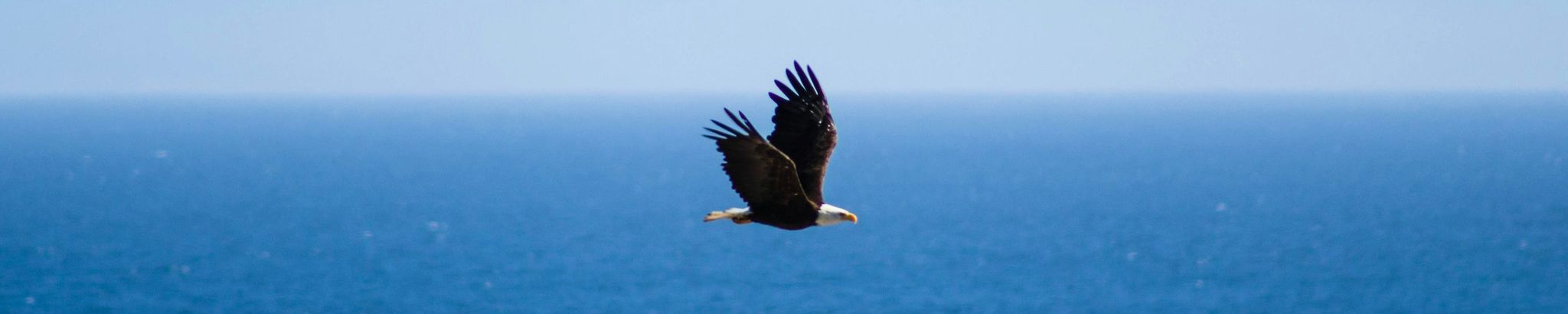 Cover photo for Robert "Rob" W. Anderson III's Obituary