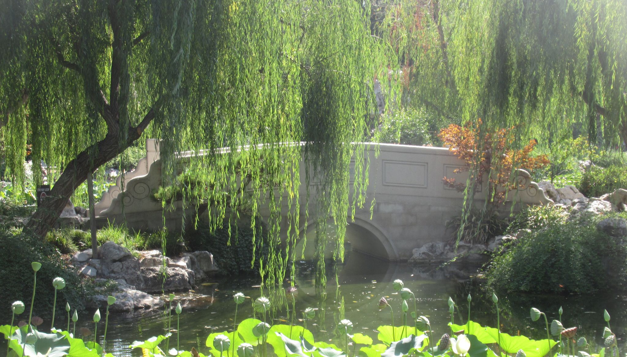 Cover for Marcia Ann Wymer's Obituary