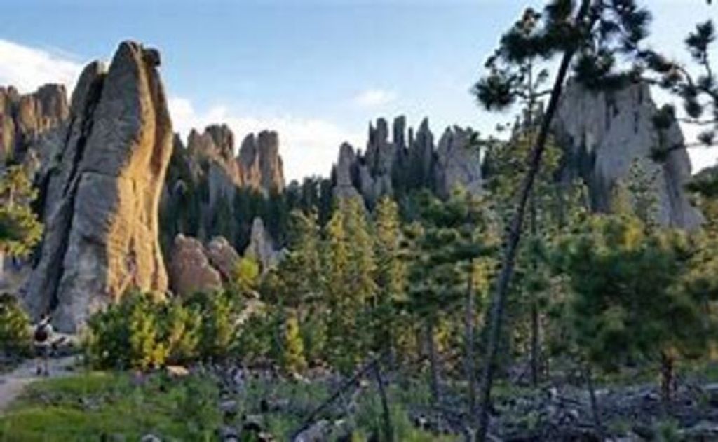 Richard F Worthington