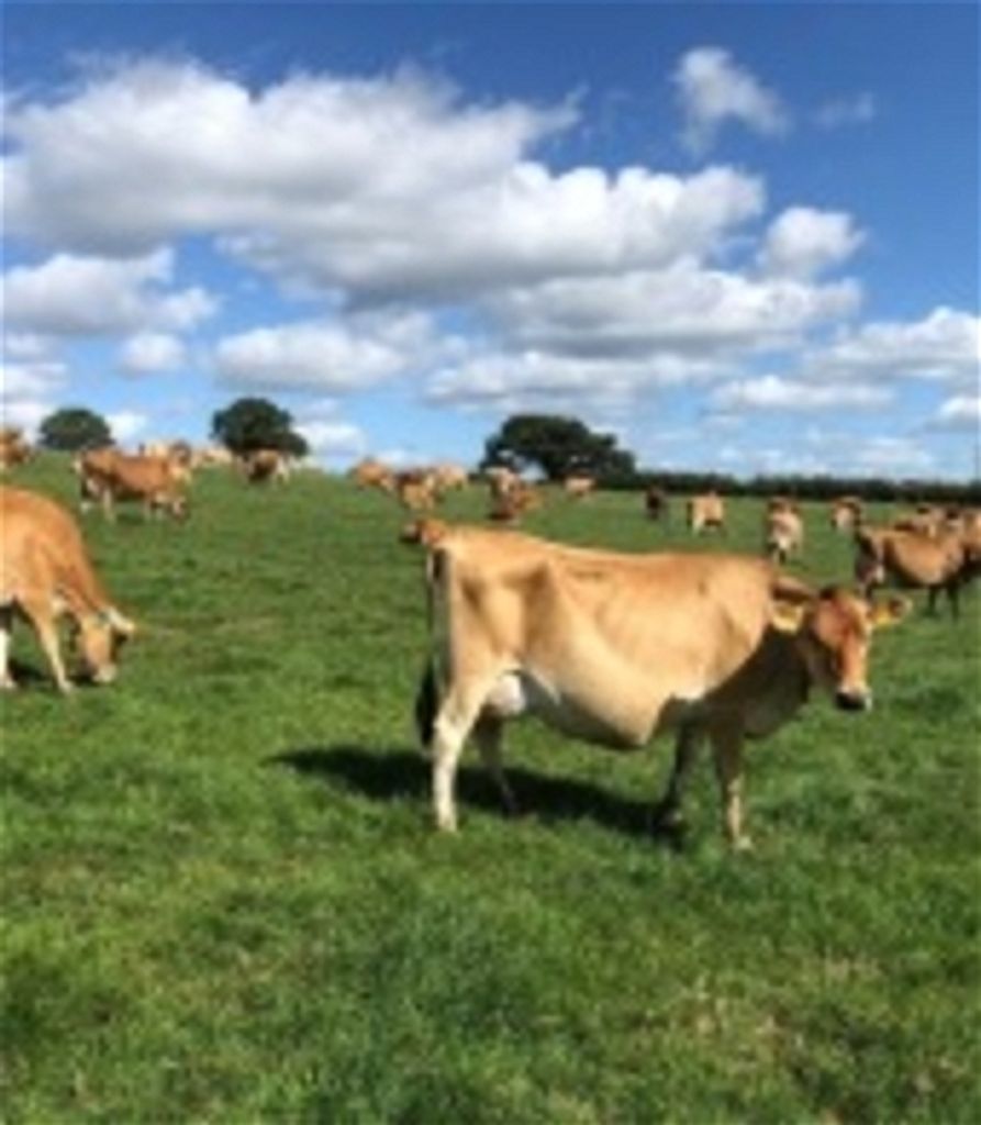 George Newton Colpetzer Profile Photo