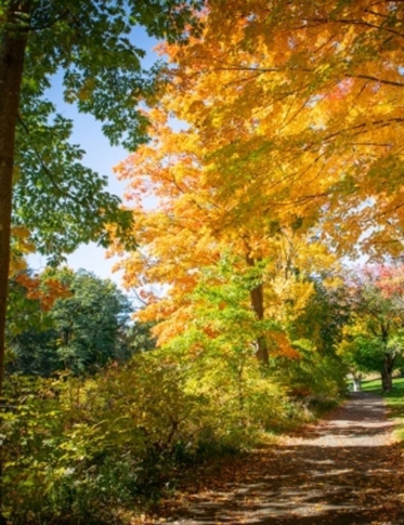 John Anderson Profile Photo