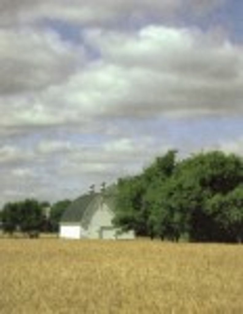 James Toews Profile Photo