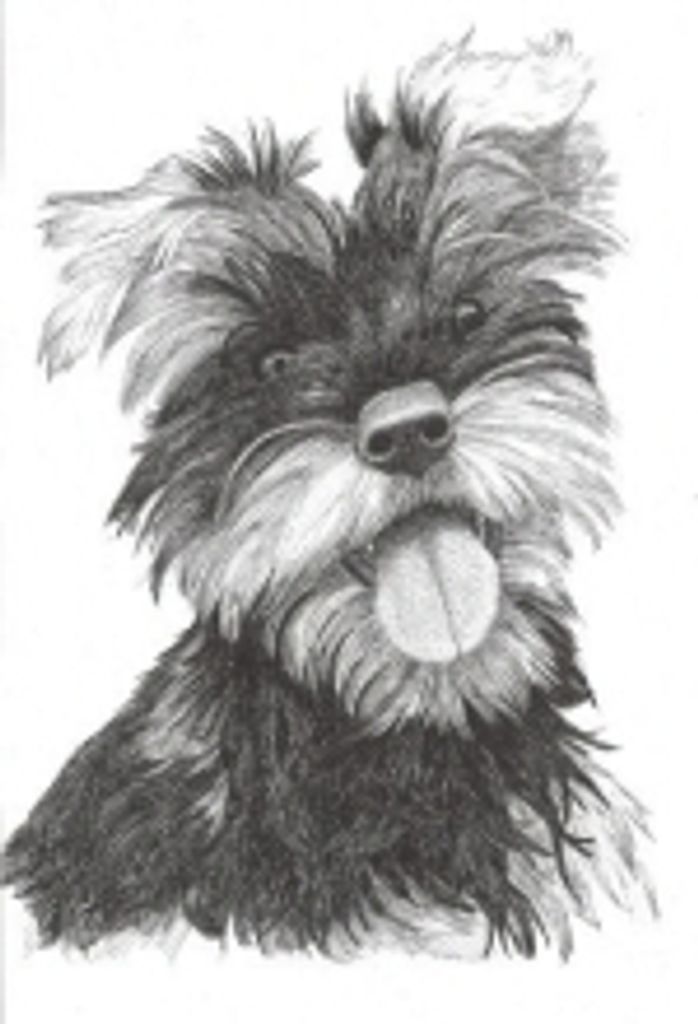 Daisy May Ballard Profile Photo