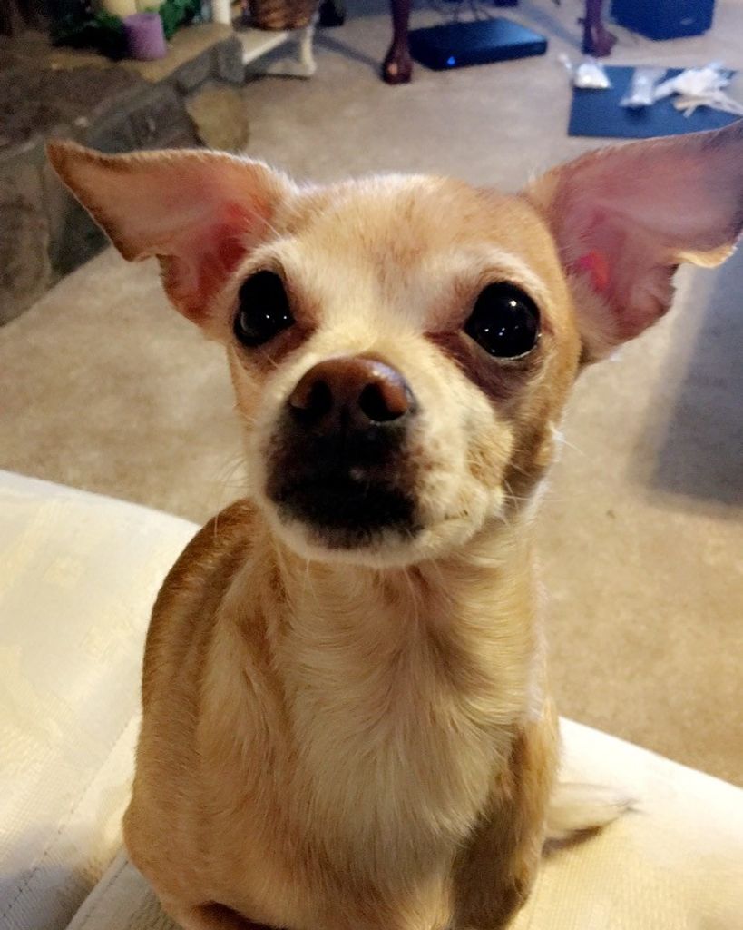 Daisy Perez Profile Photo