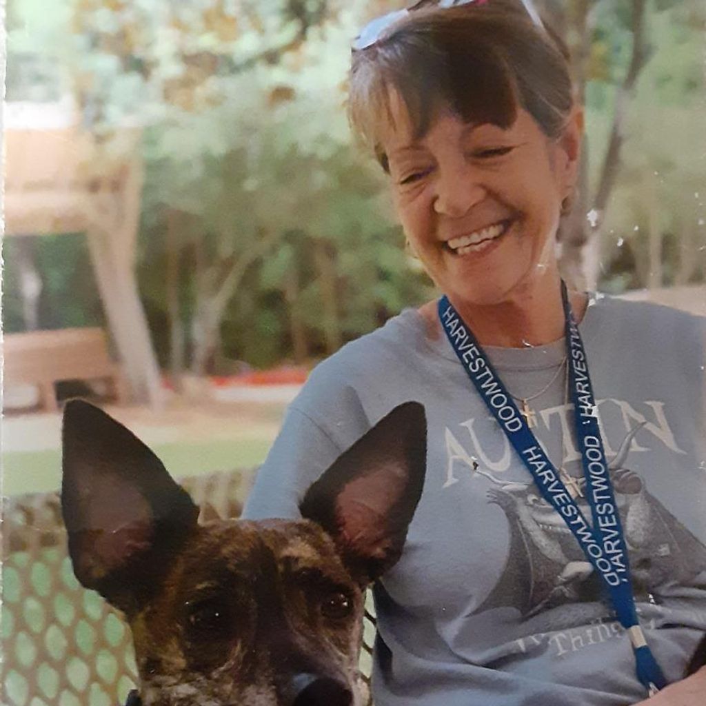 Gayle Strouhal York Profile Photo