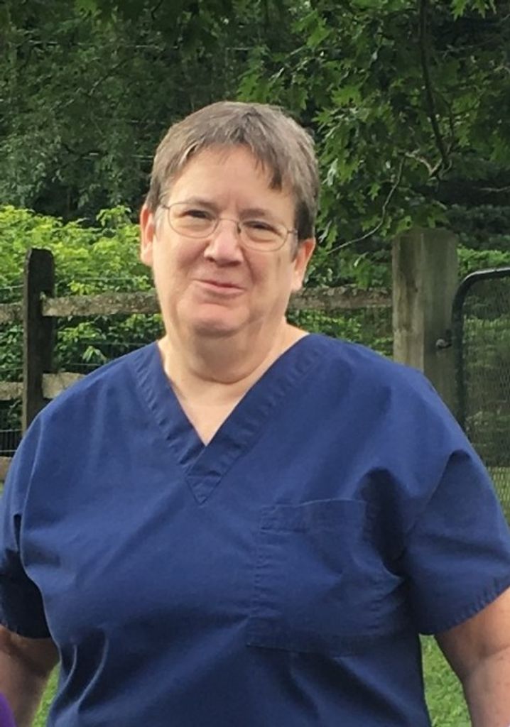 Susan Dolan