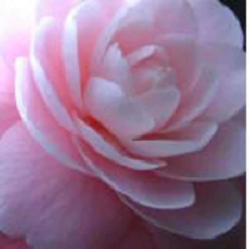 Peggy Irene () Helms