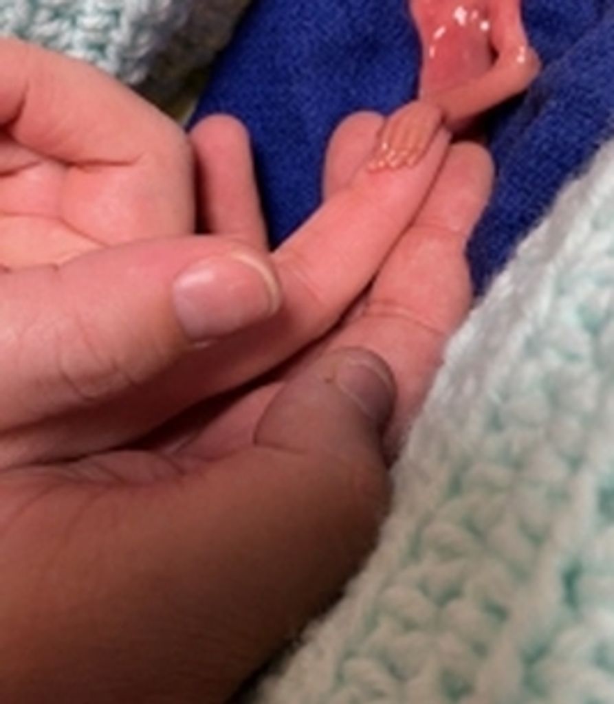 Briar Howell Profile Photo