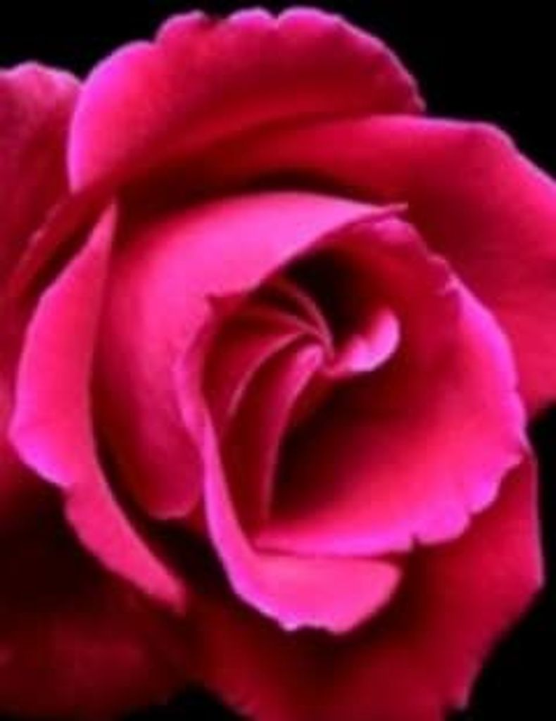 Mary Parks Profile Photo