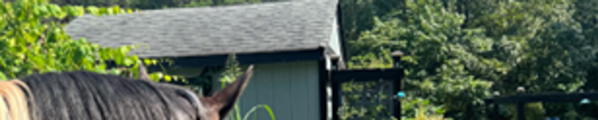 Cover for Joanna Jett Jenkins's Obituary