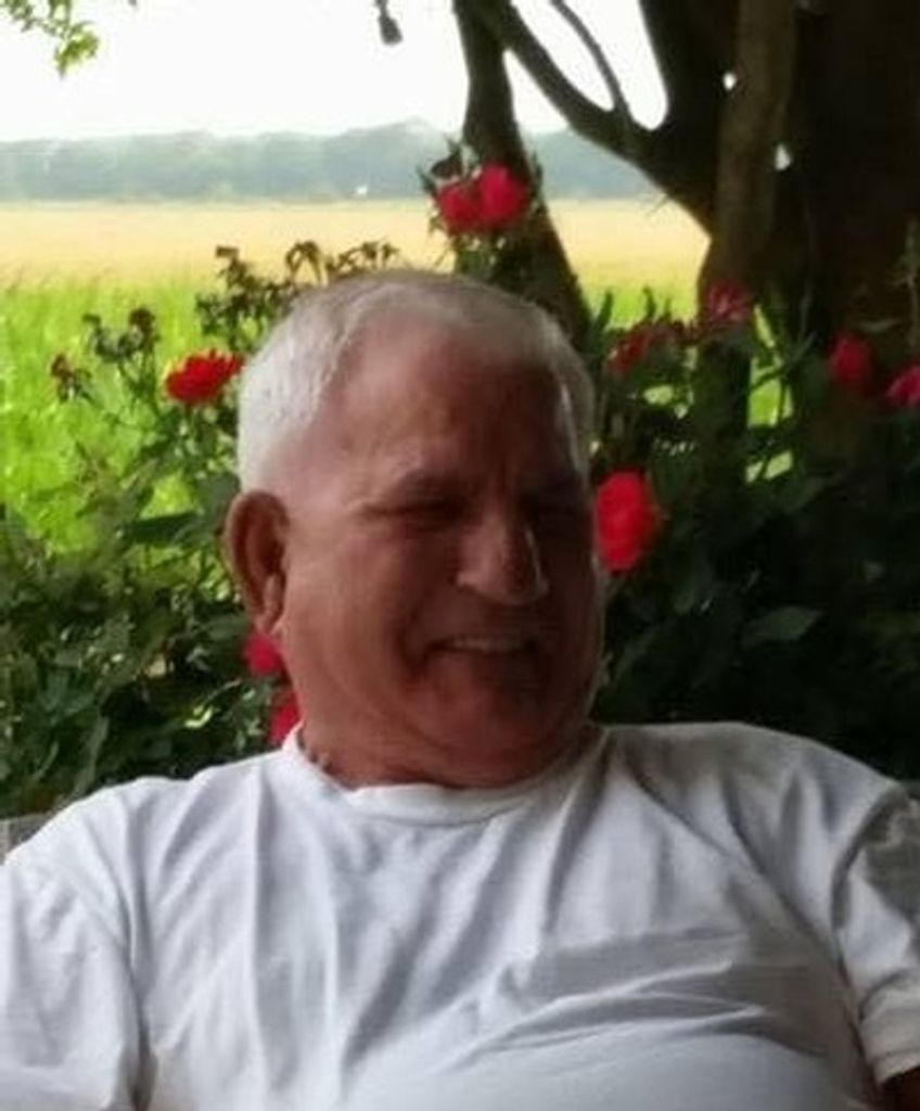 D.J. Marcotte Profile Photo