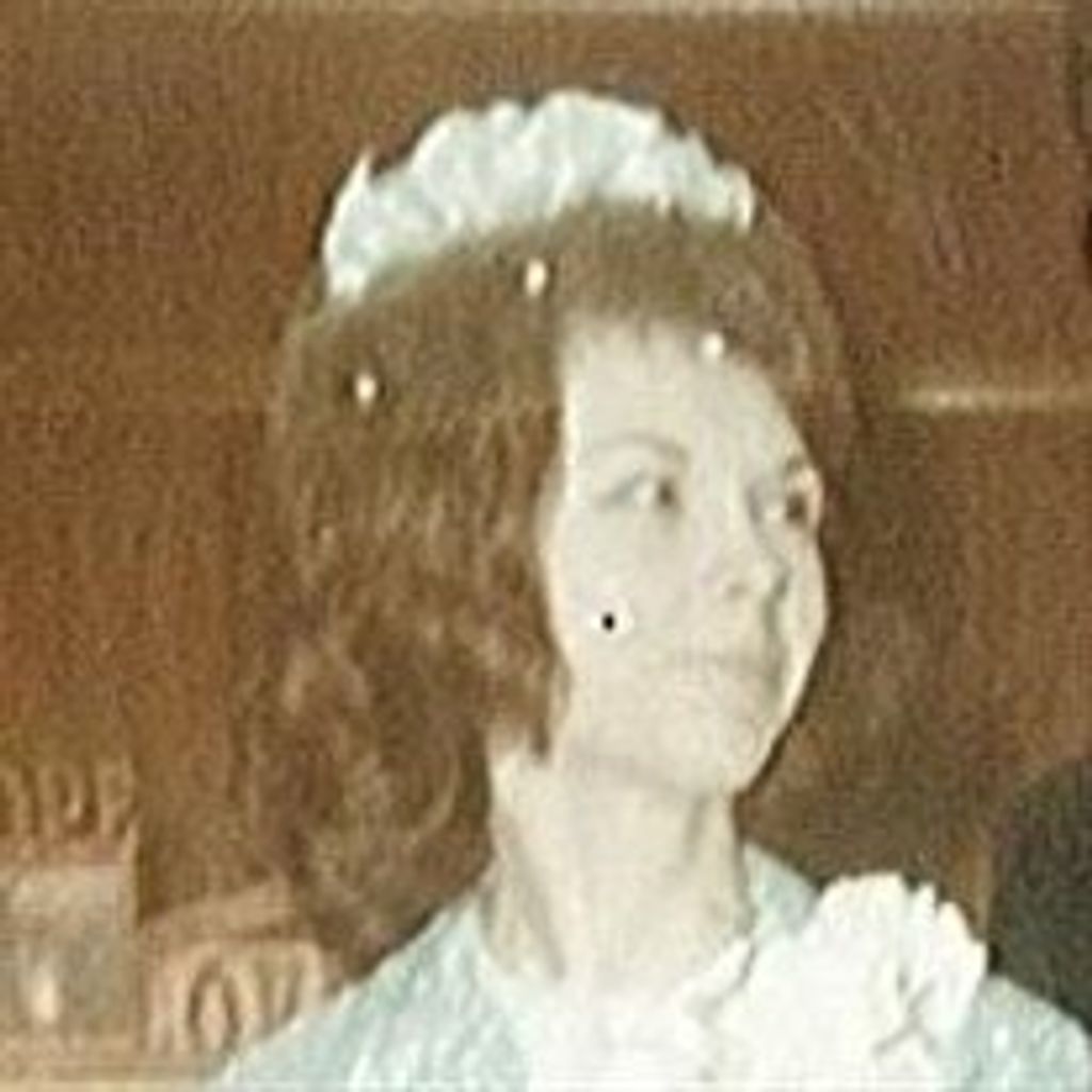 Dianne  Louise Campbell