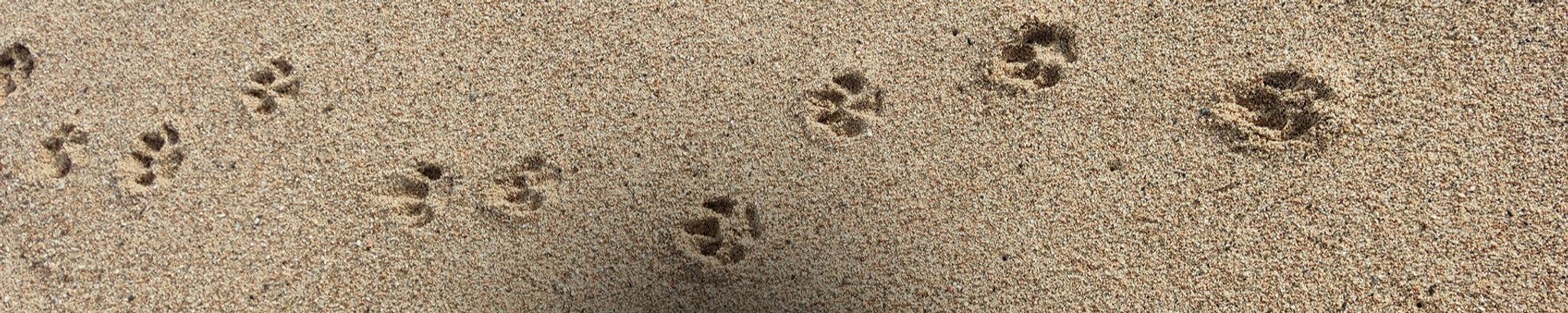 Cover for Dan Mitchell Stacey's Obituary