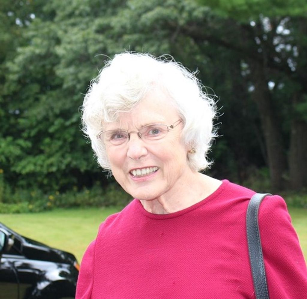 Anne L. (Lewis)  Frame