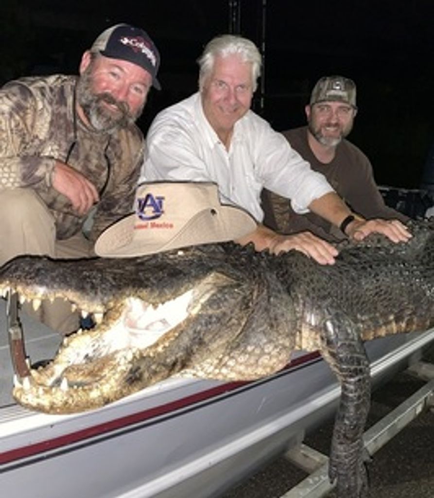 Thomas Ruff Profile Photo