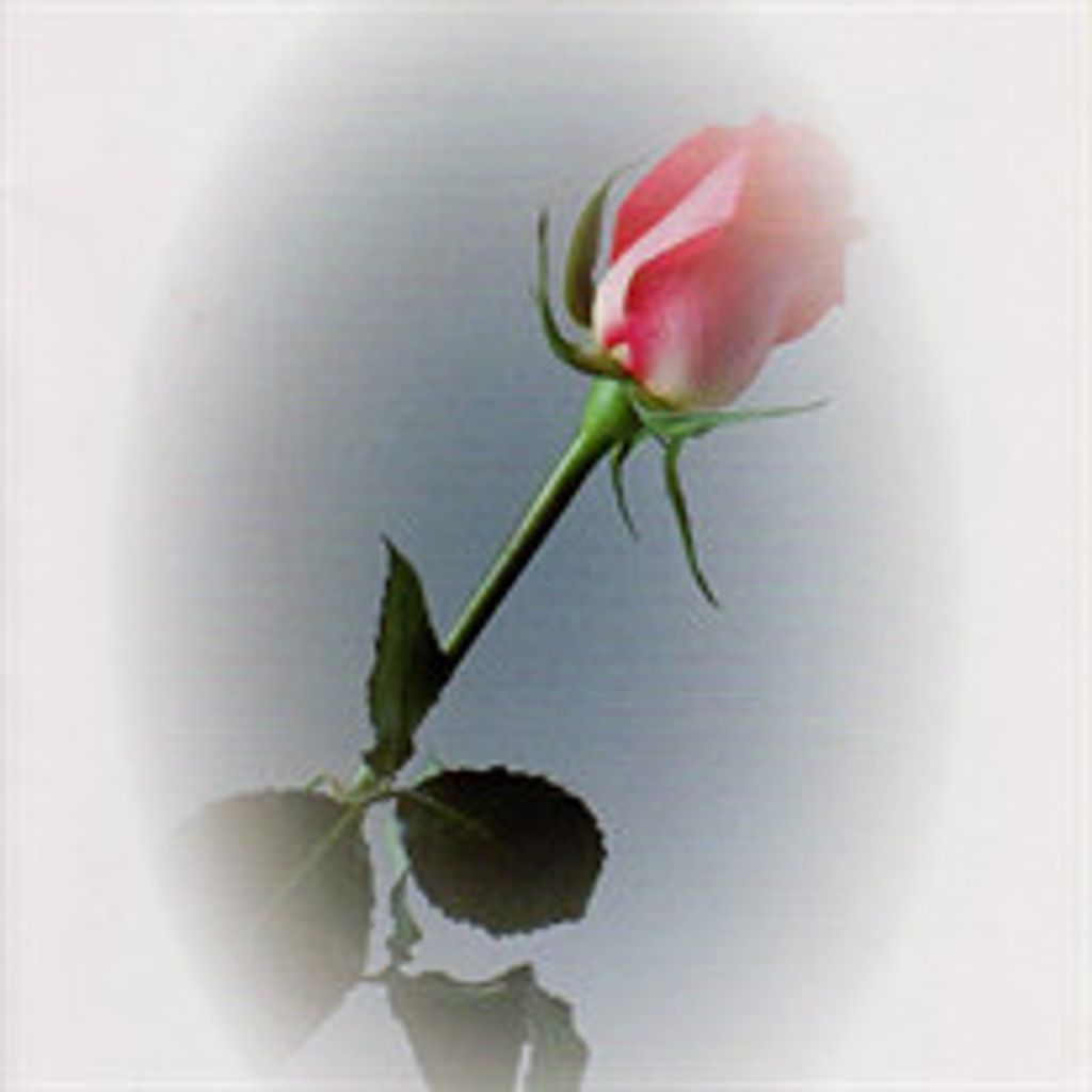 Barbara Ann Garland
