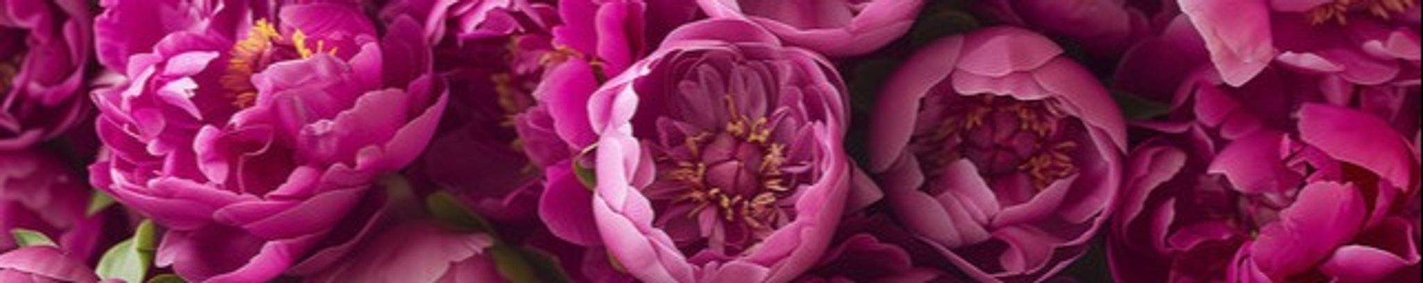 Cover photo for Ina-Lynn Cantrell's Obituary