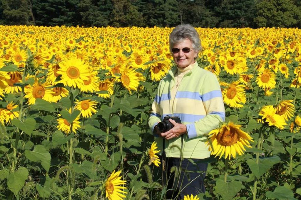 Diane D. (Dougherty)  Thompson Profile Photo