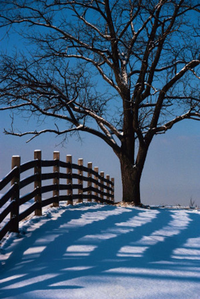 William Franklin Rothleutner Jr. Profile Photo