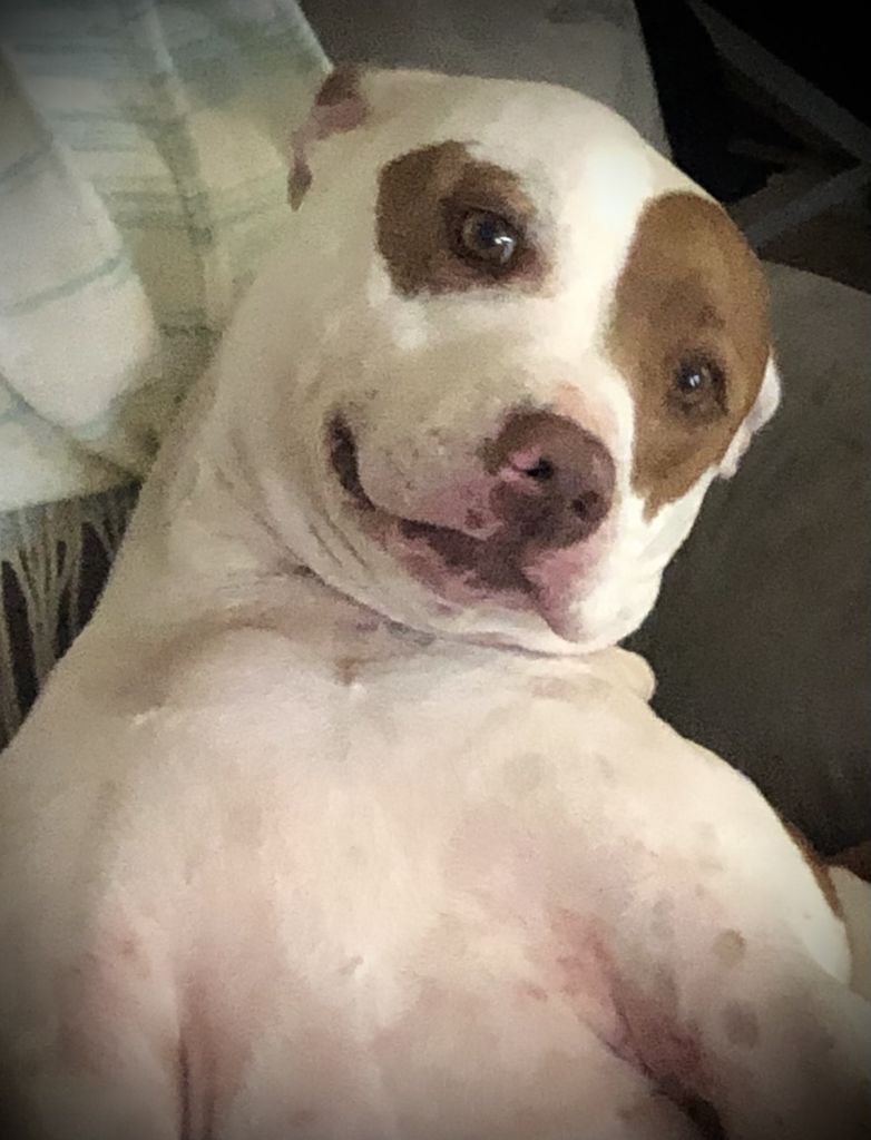 Slash Budrow Profile Photo