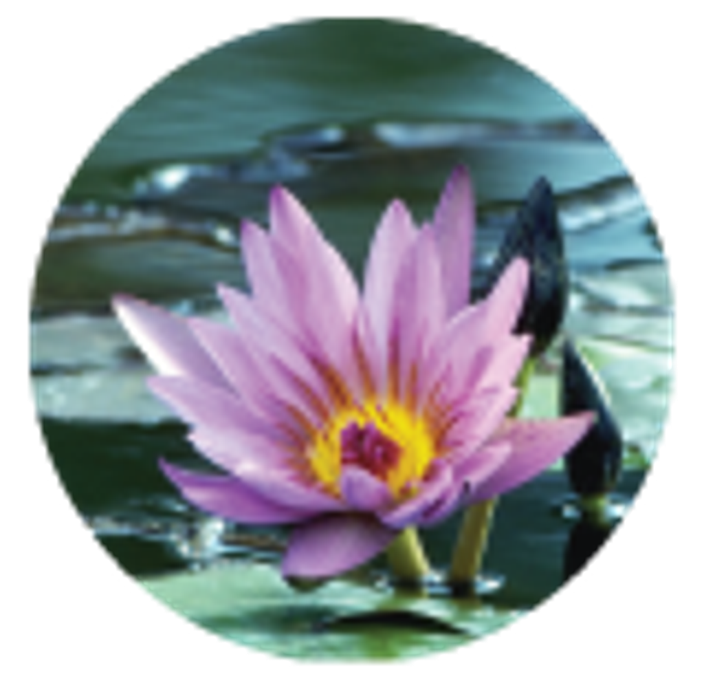 Helen R (Richards) Russell