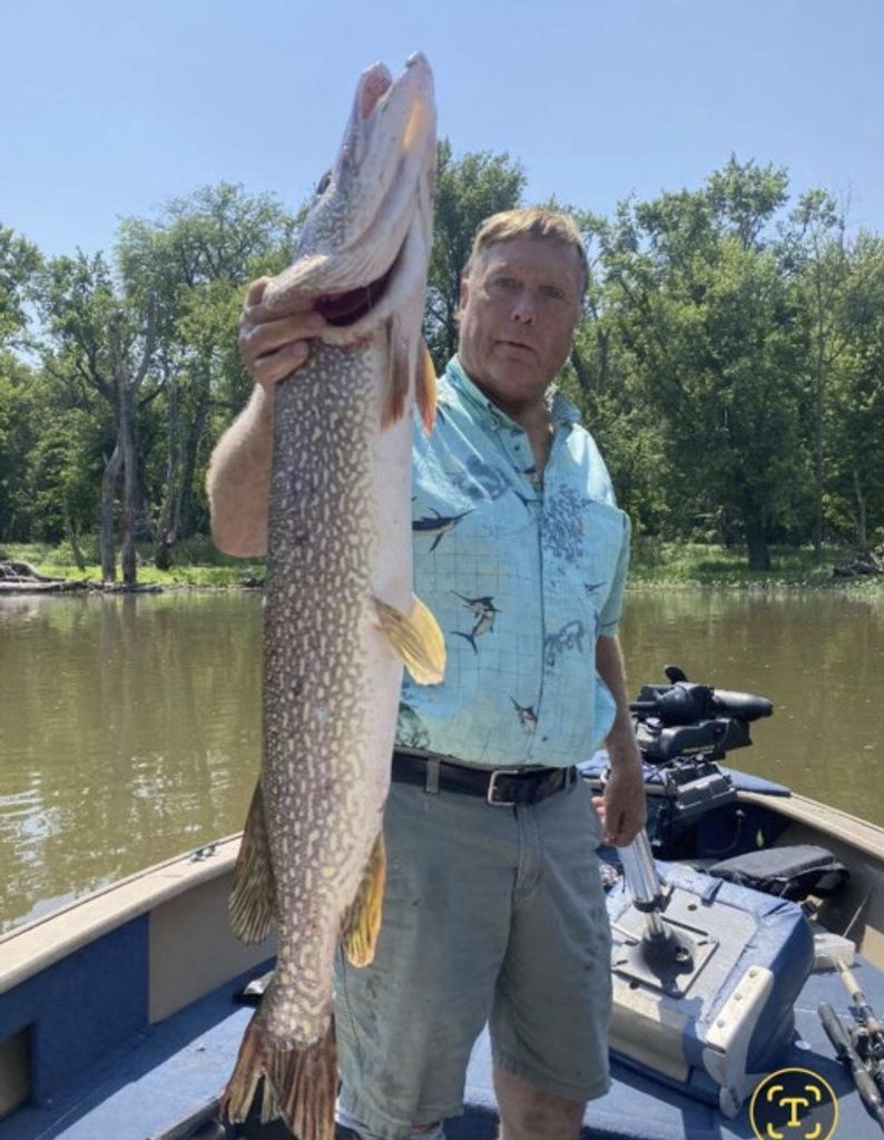 Jeffrey Eggert Profile Photo