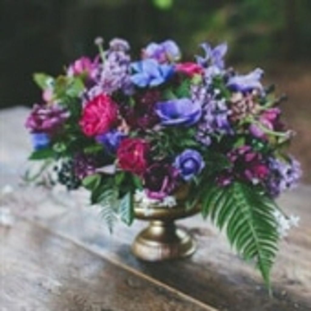 Marguerite Ziegler-Buchan