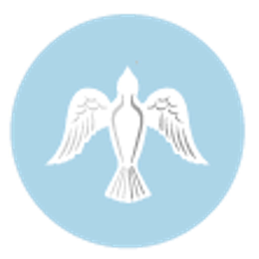 Mary Lou (Schmidt) Longmore