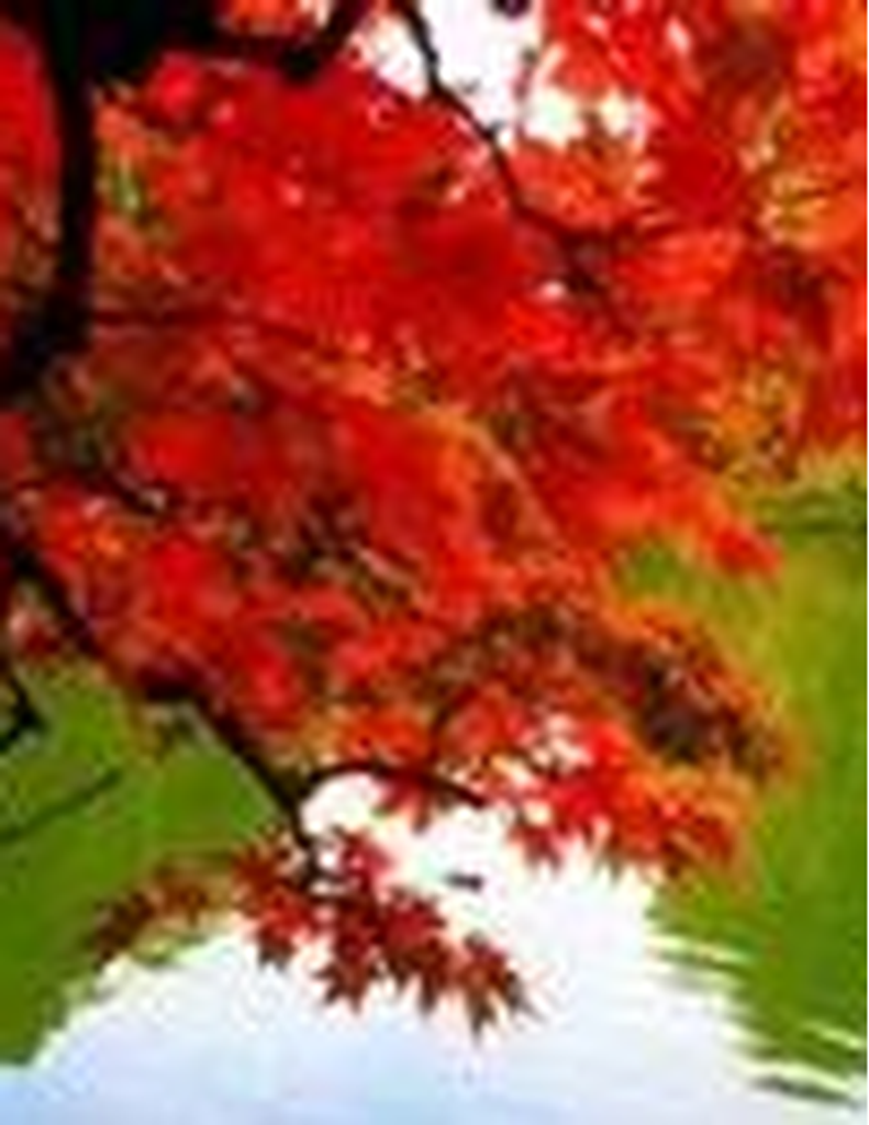 Gloria Ann Petty Peace