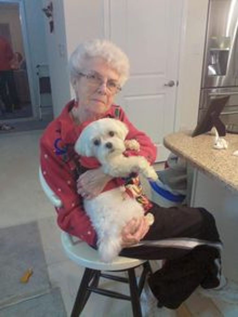Noreen  Ann (Mcinnis)  Carrier Profile Photo