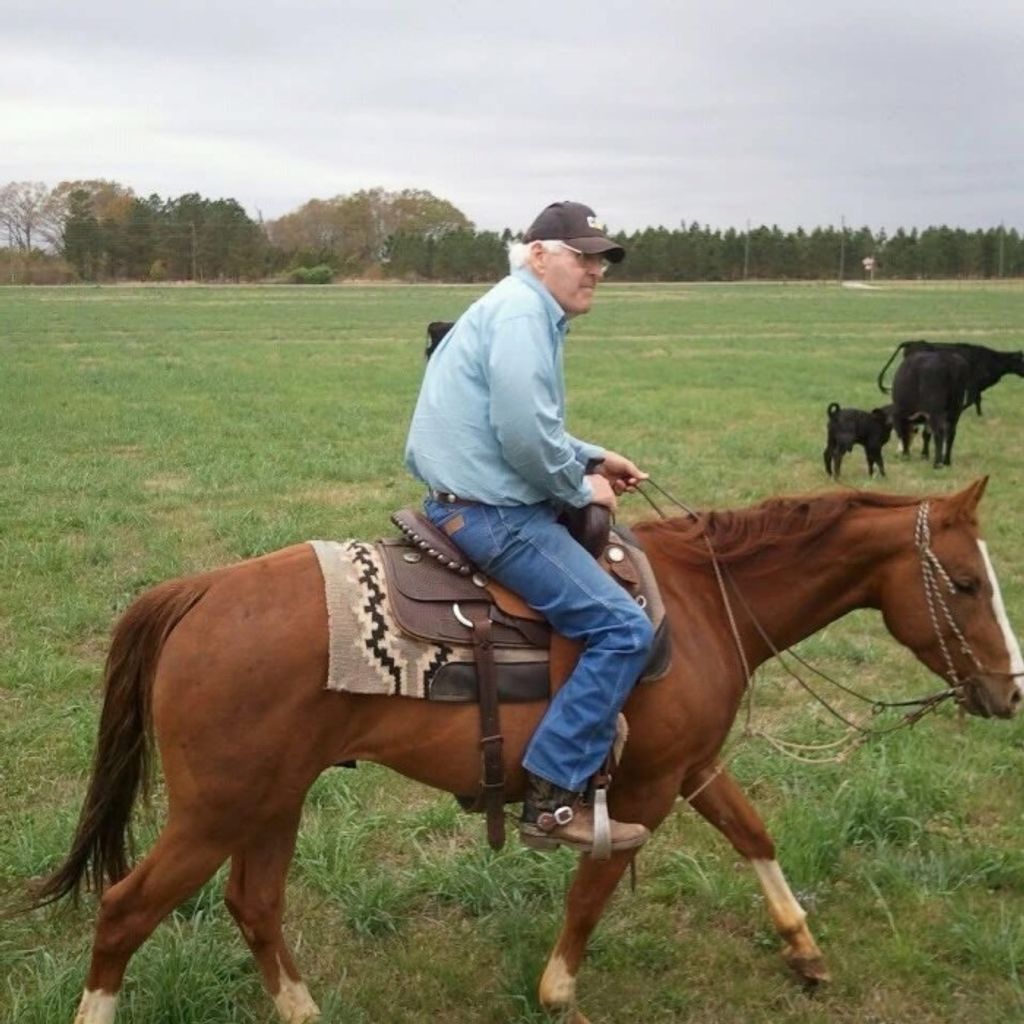 Earl L Driggers Profile Photo