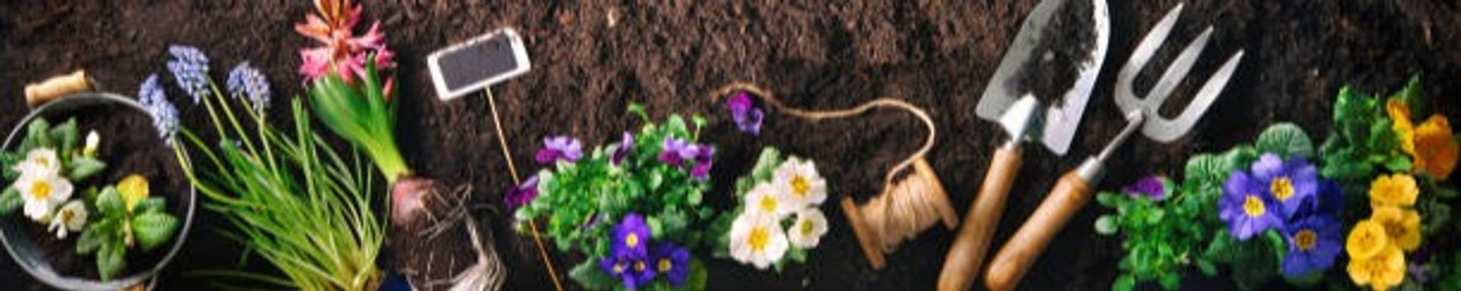 Cover for Barbara Ann Carpenter's Obituary