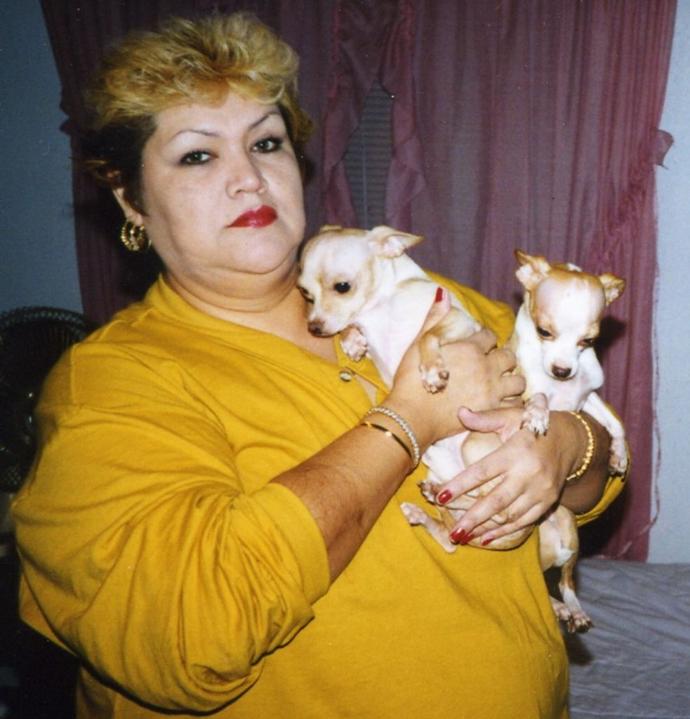Gloria J. Castaneda