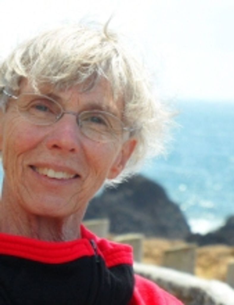 Sharron Aileen Schlegel
