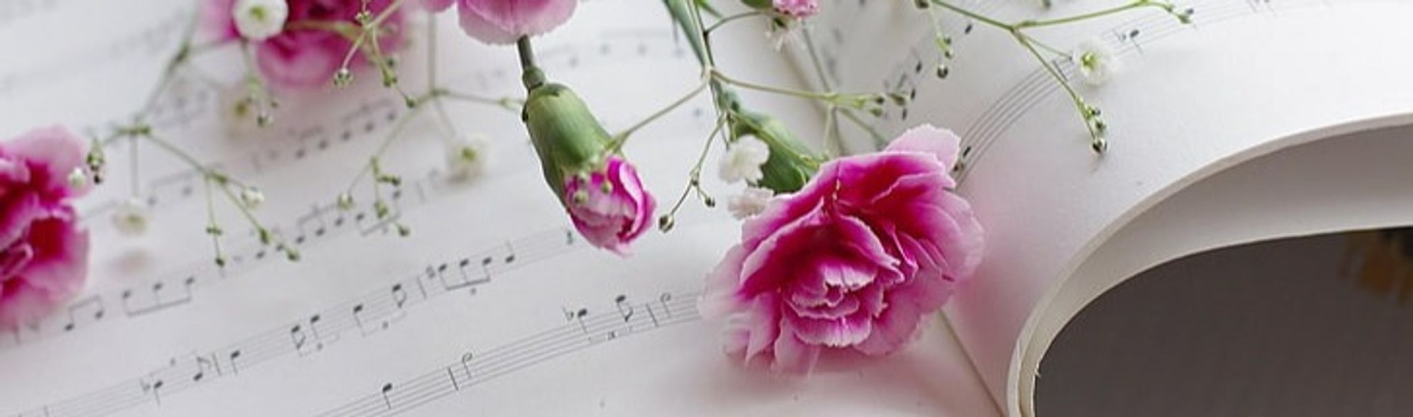 Cover photo for Marjorie I. "Marge" Williams's Obituary