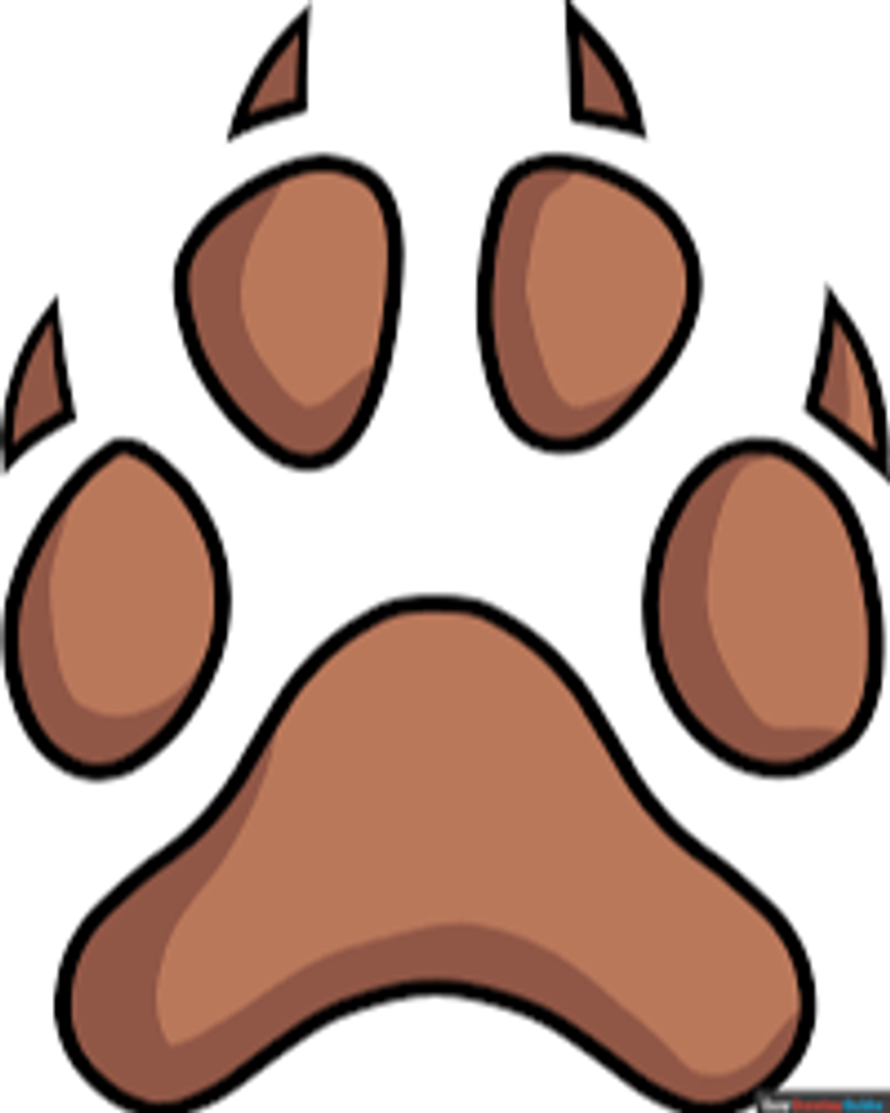 Grizzli Olivier Profile Photo