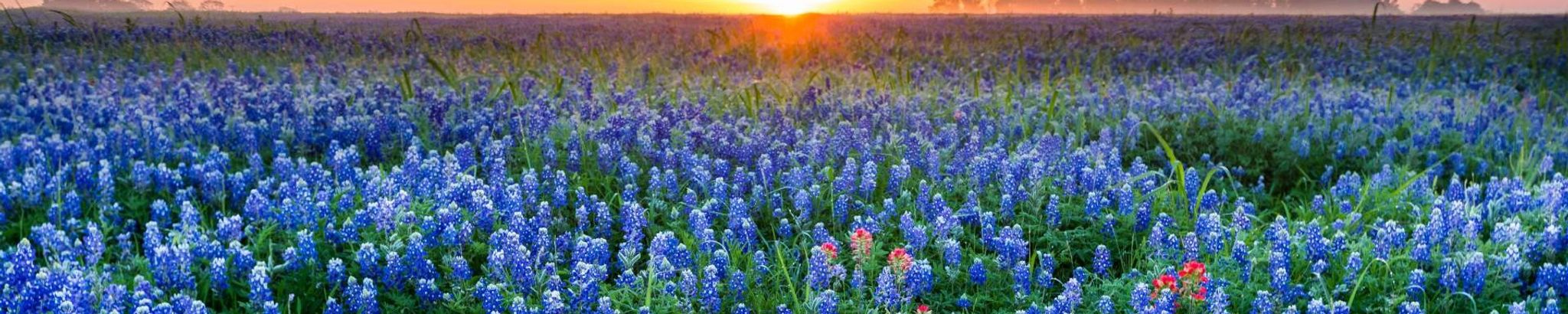 Cover for Martha Agnes Bova's Obituary