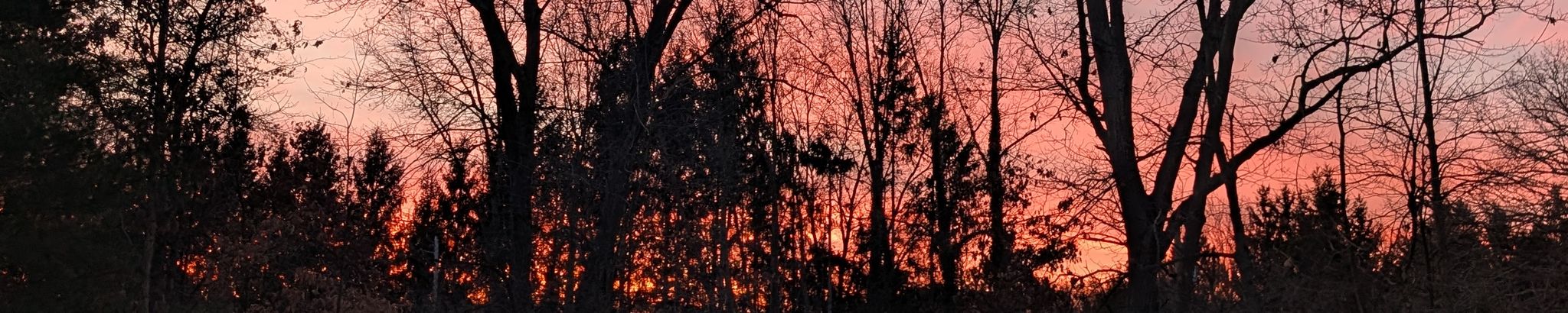 Cover for Roger Otto Schrock's Obituary