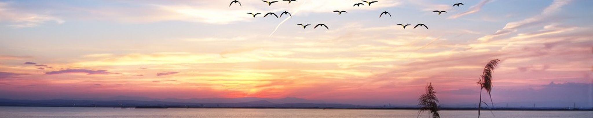 Cover photo for Mary Jacalyn Hodge's Obituary